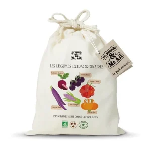 Kit – Les légumes extraordinaires