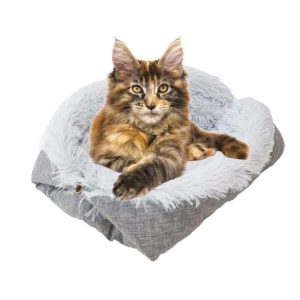 Coussin chat doux pliable et lavable